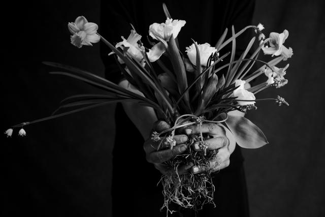 Evelyn Kühr – Lebendiges Gestalten